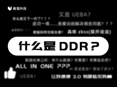 青騅 DDR v3.0 全新升級！